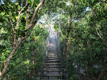 Jardín Botanico Dr. Alfredo Barrera Marín - Travel destination photo