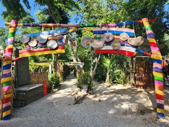 Cenote Calavera - Travel destination photo