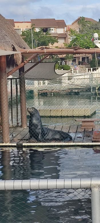 Puerto Aventuras - Travel destination photo