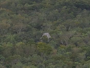 Zona Arqueológica De Coba - Travel destination photo