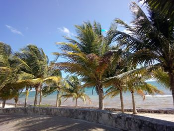 Punta Nizuc - Travel destination photo