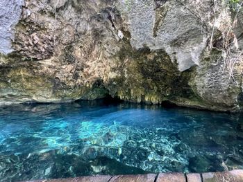 Gran Cenote - Travel destination photo