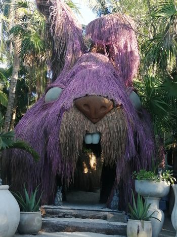 Zona Hotelera Tulum - Travel destination photo