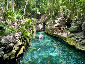 Xcaret Park - Travel destination photo