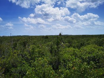 Jardín Botanico Dr. Alfredo Barrera Marín - Travel destination photo