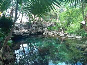 Ciudad Chemuyil - Travel destination photo