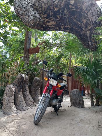 Zona Hotelera Tulum - Travel destination photo