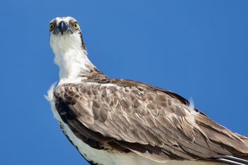 Costa Mujeres - Travel destination photo