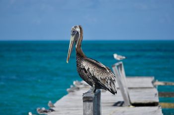 Costa Mujeres - Travel destination photo