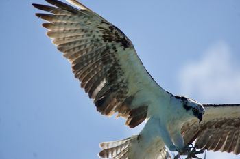 Costa Mujeres - Travel destination photo