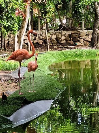 Akumal - Travel destination photo