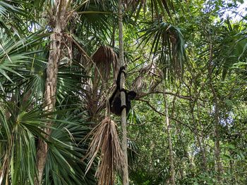 Jardín Botanico Dr. Alfredo Barrera Marín - Travel destination photo