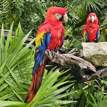 Xel-há - Travel destination photo