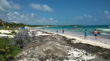 Cancun Airport to Xpu Há Transfer