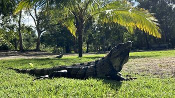 Cancun Airport to Gran Cenote Transfer