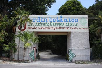 Jardín Botanico Dr. Alfredo Barrera Marín - Travel destination photo